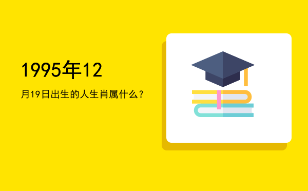1995年12月19日出生的人生肖属什么?