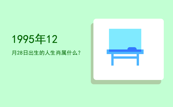 1995年12月28日出生的人生肖属什么?