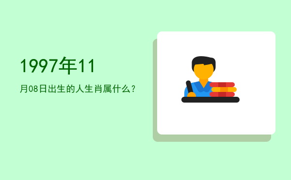 1997年11月08日出生的人生肖属什么?