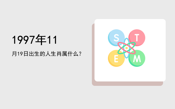 1997年11月19日出生的人生肖属什么?