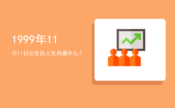 1999年11月11日出生的人生肖属什么?