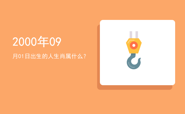 2000年09月01日出生的人生肖属什么?