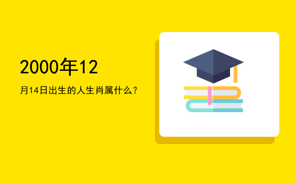 2000年12月14日出生的人生肖属什么?