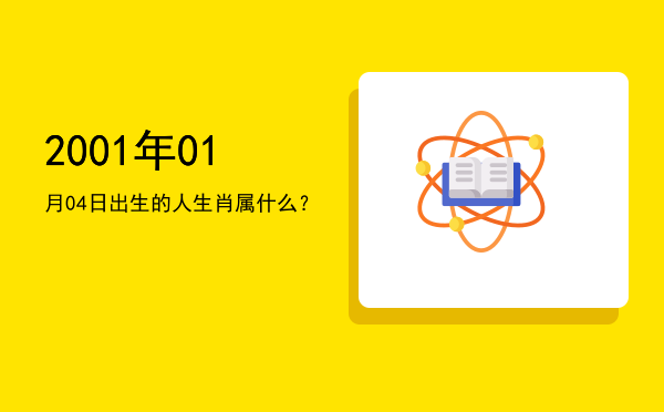 2001年01月04日出生的人生肖属什么?