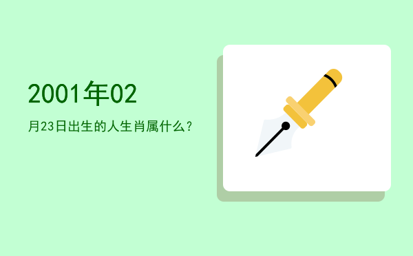 2001年02月23日出生的人生肖属什么?