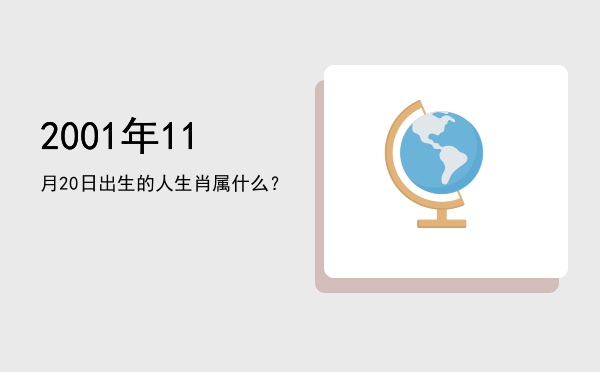 2001年11月20日出生的人生肖属什么?