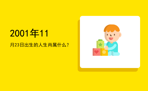2001年11月23日出生的人生肖属什么?