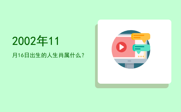 2002年11月16日出生的人生肖属什么?