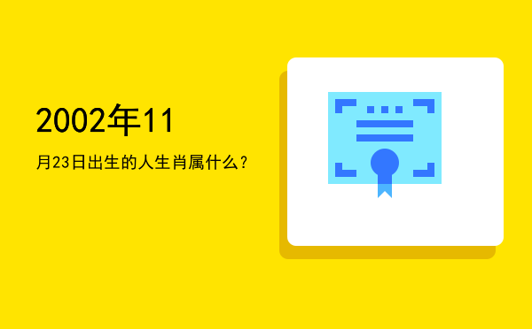 2002年11月23日出生的人生肖属什么？
