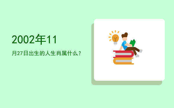 2002年11月27日出生的人生肖属什么?