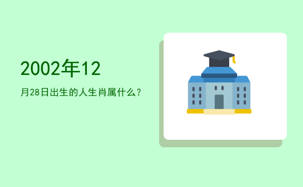 2002年12月28日出生的人生肖属什么?