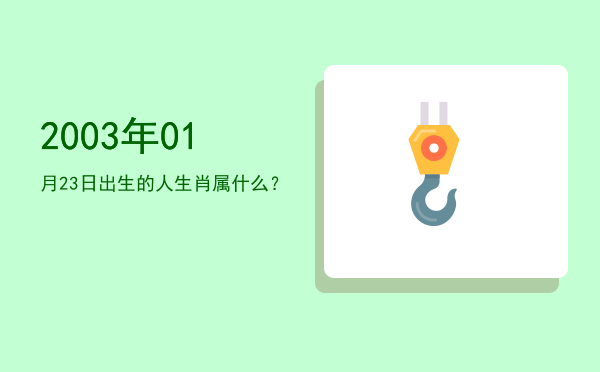 2003年01月23日出生的人生肖属什么?