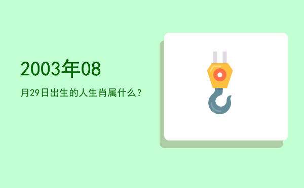 2003年08月29日出生的人生肖属什么?