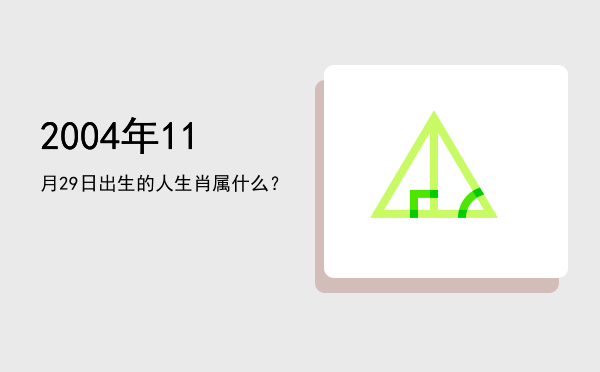 2004年11月29日出生的人生肖属什么?