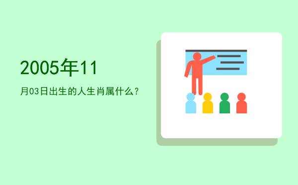 2005年11月03日出生的人生肖属什么?
