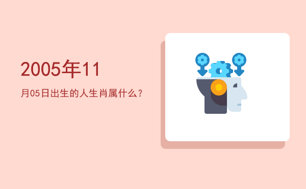 2005年11月05日出生的人生肖属什么?