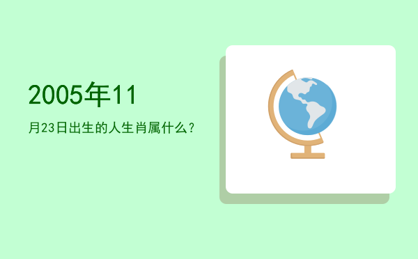 2005年11月23日出生的人生肖属什么?