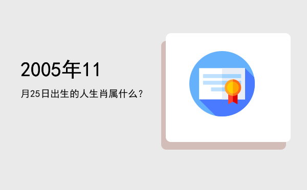 2005年11月25日出生的人生肖属什么?