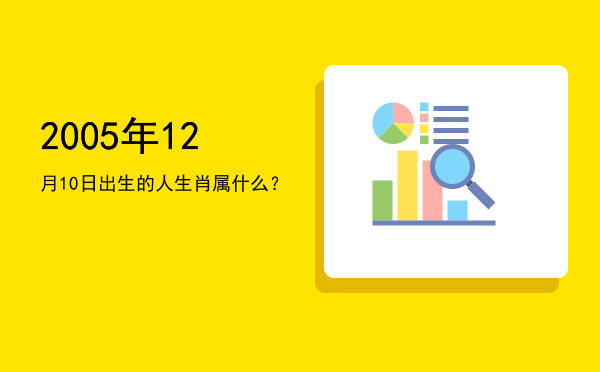 2005年12月10日出生的人生肖属什么?
