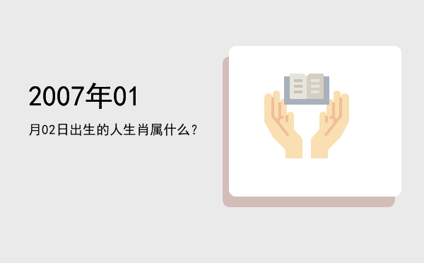2007年01月02日出生的人生肖属什么?