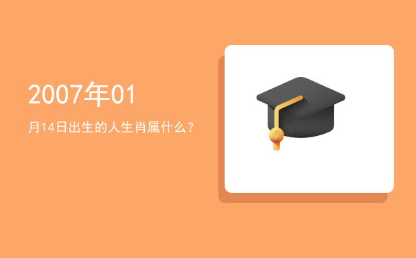 2007年01月14日出生的人生肖属什么?