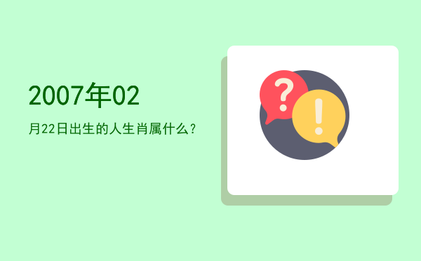2007年02月22日出生的人生肖属什么?