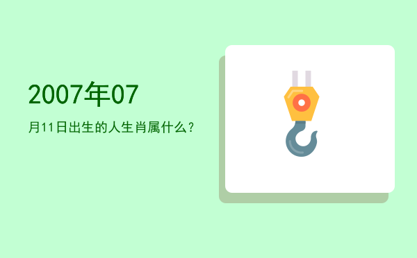 2007年07月11日出生的人生肖属什么?