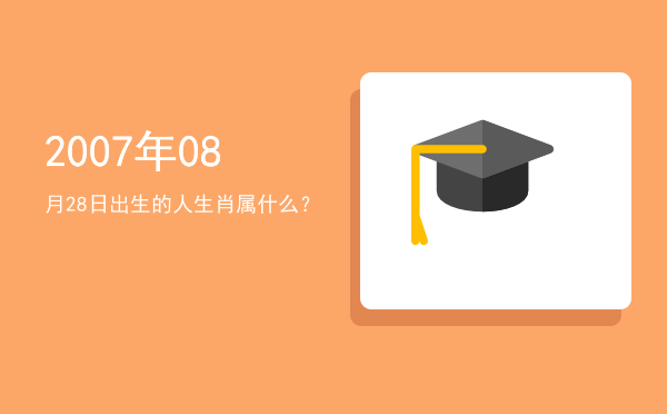 2007年08月28日出生的人生肖属什么?
