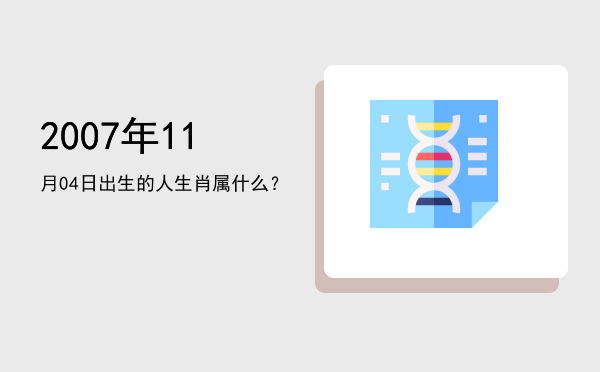 2007年11月04日出生的人生肖属什么?