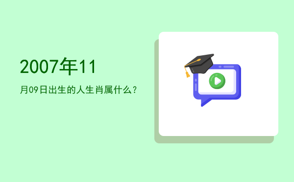 2007年11月09日出生的人生肖属什么?