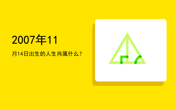 2007年11月14日出生的人生肖属什么?