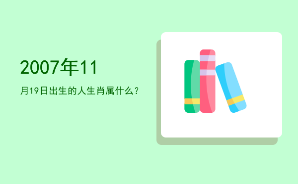 2007年11月19日出生的人生肖属什么?