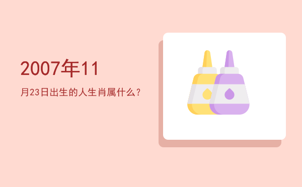 2007年11月23日出生的人生肖属什么?