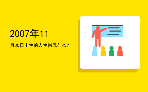 2007年11月30日出生的人生肖属什么?