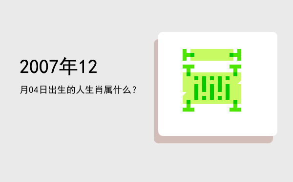 2007年12月04日出生的人生肖属什么?