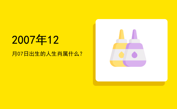 2007年12月07日出生的人生肖属什么?