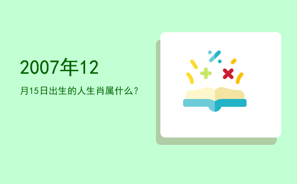 2007年12月15日出生的人生肖属什么?