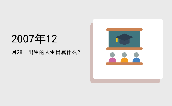 2007年12月28日出生的人生肖属什么?
