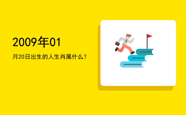 2009年01月20日出生的人生肖属什么?