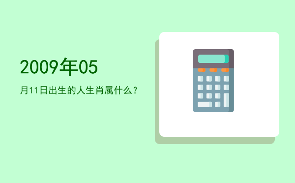 2009年05月11日出生的人生肖属什么?