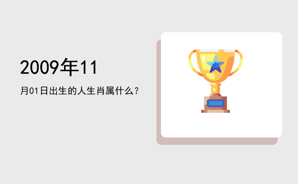 2009年11月01日出生的人生肖属什么?