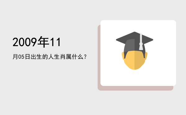 2009年11月05日出生的人生肖属什么?