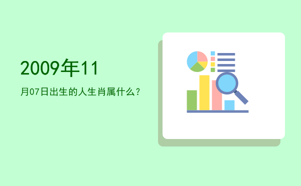 2009年11月07日出生的人生肖属什么?