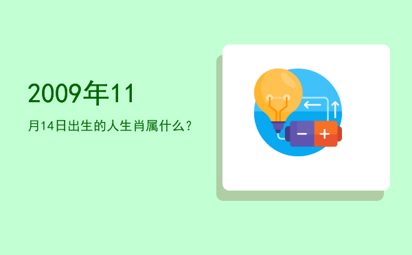 2009年11月14日出生的人生肖属什么?