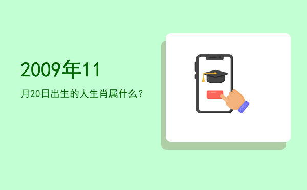 2009年11月20日出生的人生肖属什么?