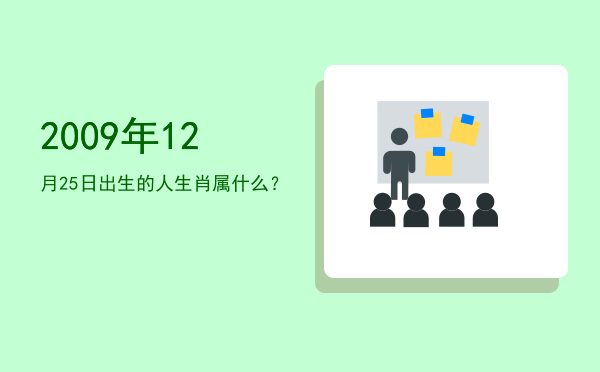 2009年12月25日出生的人生肖属什么?