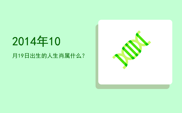 2014年10月19日出生的人生肖属什么?