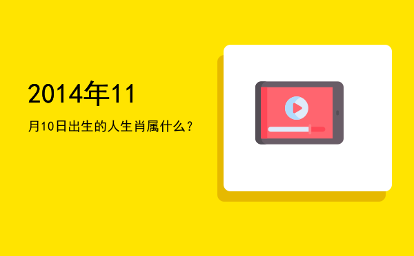 2014年11月10日出生的人生肖属什么？