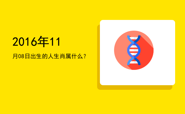2016年11月08日出生的人生肖属什么?