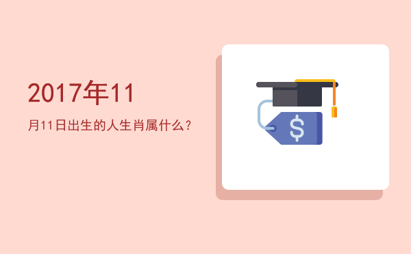2017年11月11日出生的人生肖属什么?